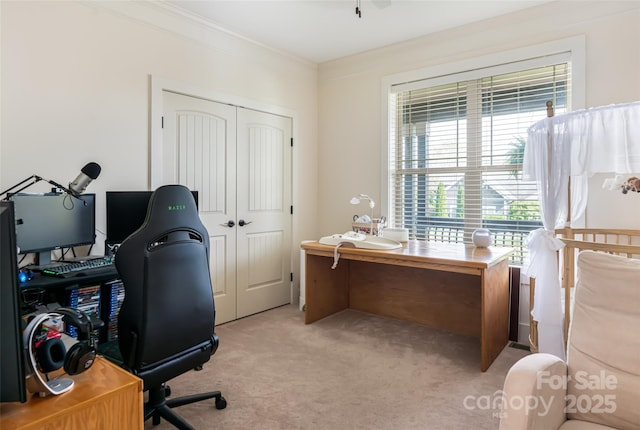 office area featuring crown molding and light carpet