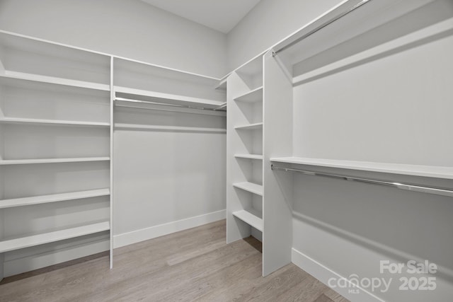 walk in closet with wood finished floors
