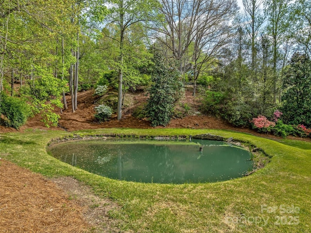 74 Solar Ln, Hendersonville, NC 28739 - photo 8
