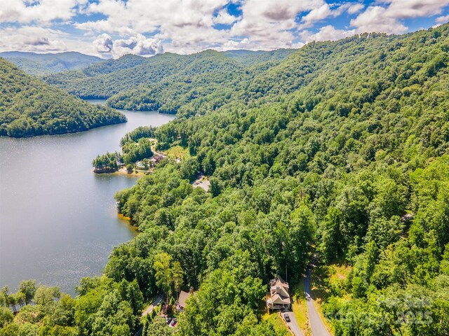 218 Pepperbush Ln, Tuckasegee, NC 28783 - photo 30