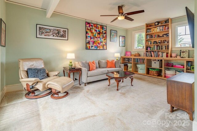 living area with ceiling fan, carpet flooring, and beamed ceiling