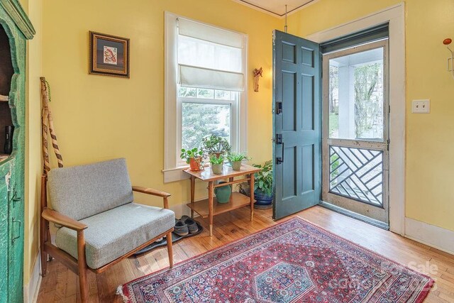 foyer entrance featuring a healthy amount of sunlight and wood finished floors