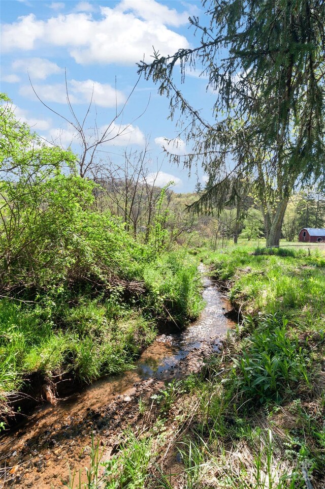 1294 Beaverdam Rd, Canton, NC 28716 - view of local wilderness