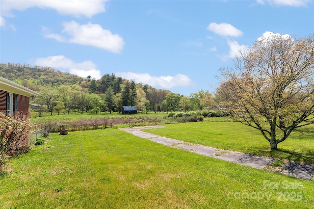 1294 Beaverdam Rd, Canton, NC 28716 - view of yard