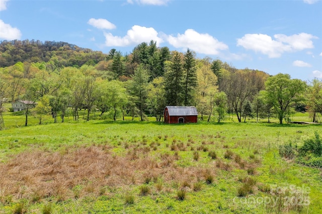1294 Beaverdam Rd, Canton, NC 28716 - view of yard featuring a wooded view, a rural view, an outbuilding, and a storage unit
