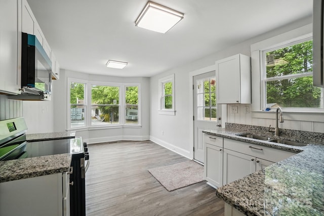 410 E 17th St, Kannapolis, NC 28083 - kitchen featuring stone countertops, a wealth of natural light, electric stove, and a sink