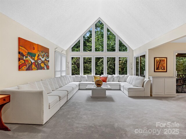 living area with carpet floors, high vaulted ceiling, and a textured ceiling