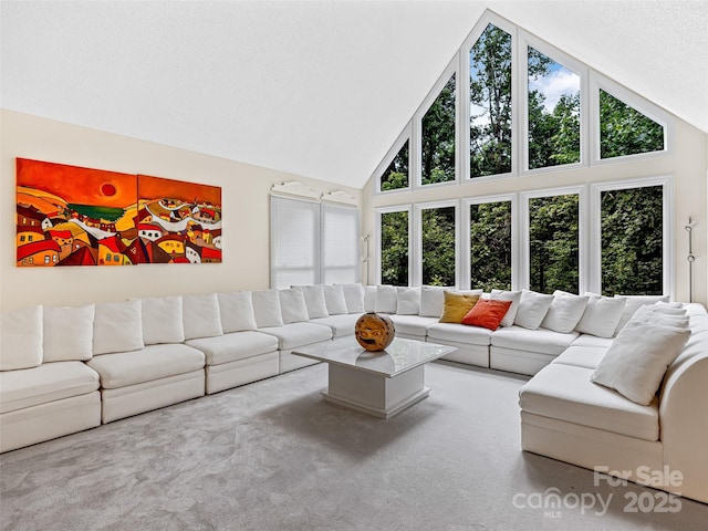 carpeted living area with high vaulted ceiling