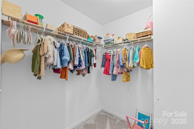 306 Fesperman Cir, Troutman, NC 28166 - spacious closet with carpet flooring