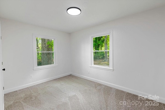 empty room with a wealth of natural light, carpet floors, and baseboards