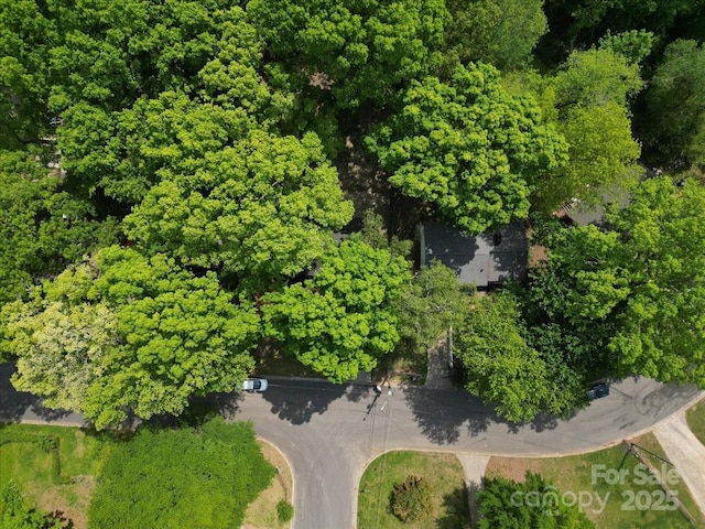 bird's eye view