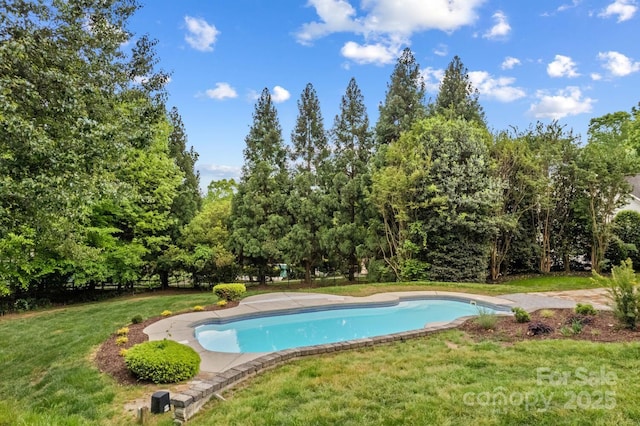 outdoor pool with a yard