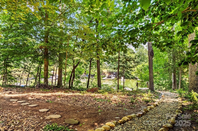 110 Preserve Way, Mooresville, NC 28117 - view of local wilderness
