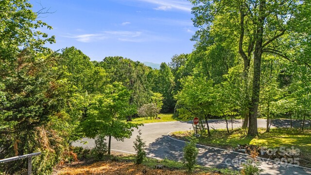 411 Alta Cir, Hendersonville, NC 28739 - photo 36