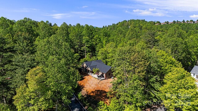411 Alta Cir, Hendersonville, NC 28739 - photo 39