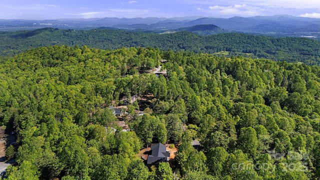 411 Alta Cir, Hendersonville, NC 28739 - photo 40