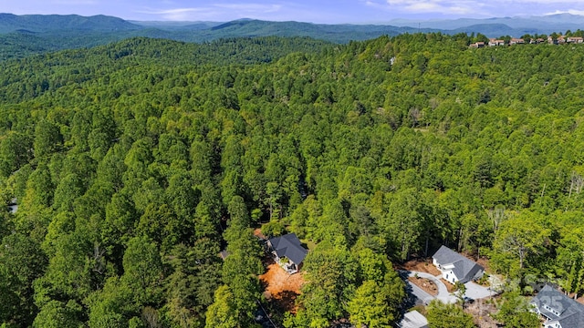 411 Alta Cir, Hendersonville, NC 28739 - photo 41