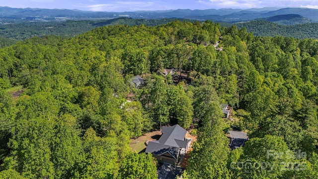 411 Alta Cir, Hendersonville, NC 28739 - photo 43