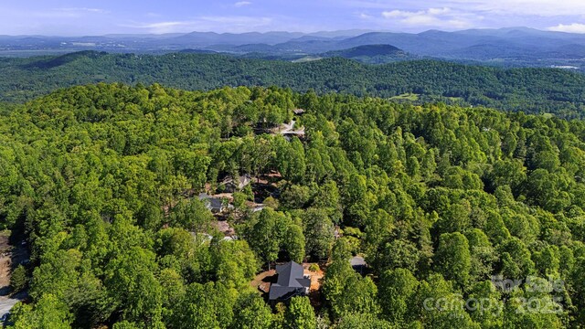 411 Alta Cir, Hendersonville, NC 28739 - photo 44