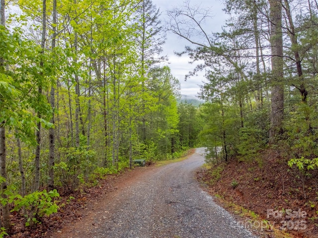 view of road featuring a wooded view