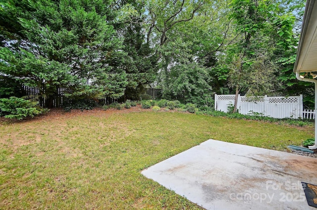 519 Jacobs Rdg, Fort Mill, SC 29715 - view of yard with a patio