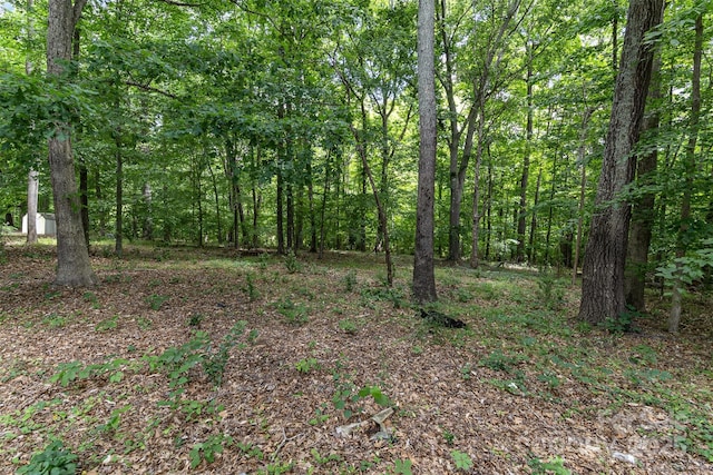 7212 Canyon Dr, Charlotte, NC 28262 - photo 18
