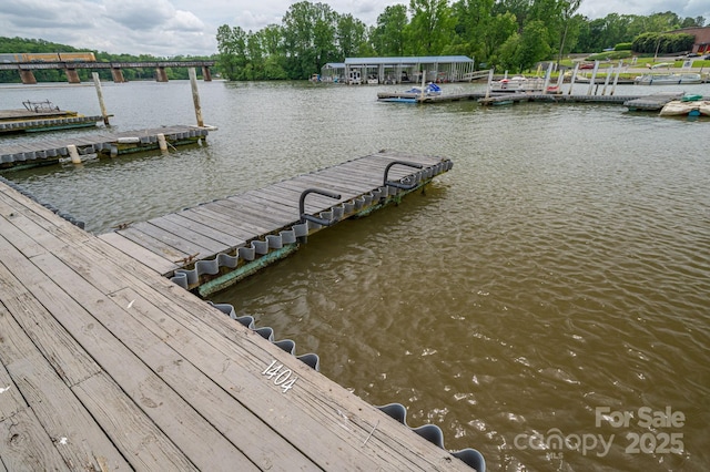 dock area with a water view