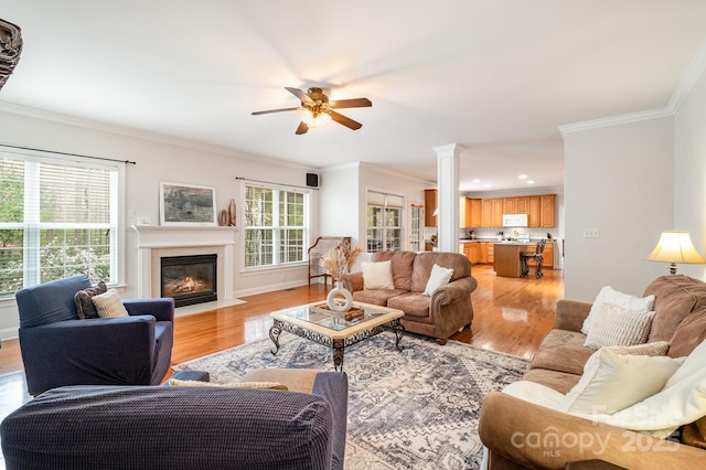 2620 Shady Reach Ln, Charlotte, NC 28214 - living room with crown molding, ceiling fan, a fireplace with flush hearth, and light wood finished floors