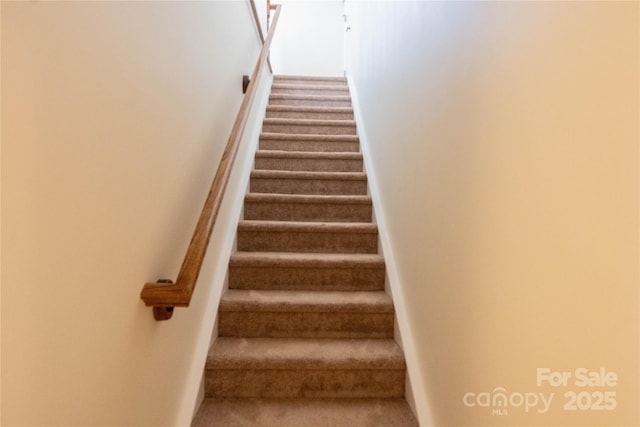 stairway featuring carpet floors