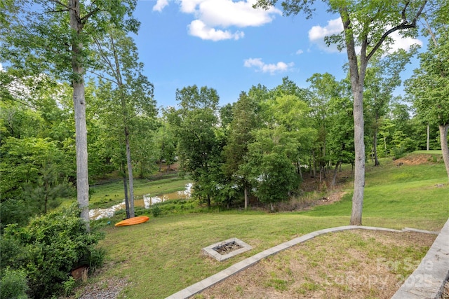 444 Snapdragon Dr, Clover, SC 29710 - view of green lawn with a water view