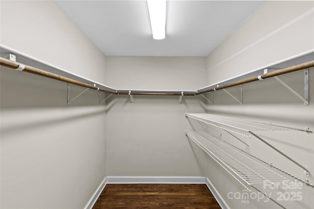 spacious closet featuring wood finished floors