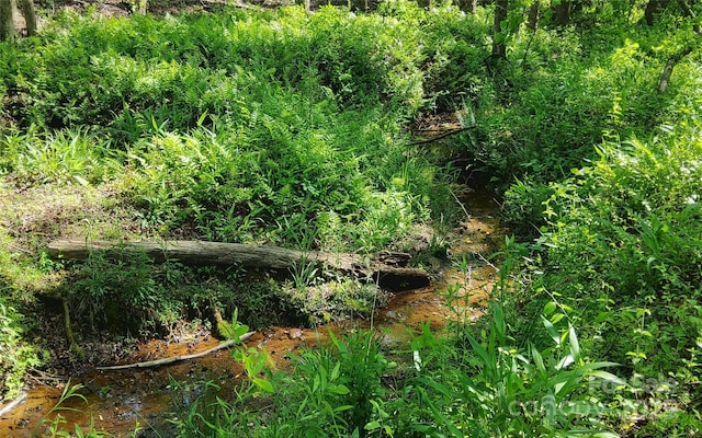 6454 Sain Milling Rd, Vale, NC 28168 - view of landscape