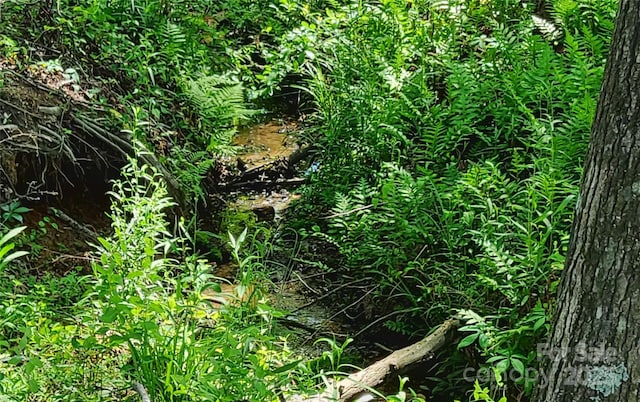 6454 Sain Milling Rd, Vale, NC 28168 - view of landscape