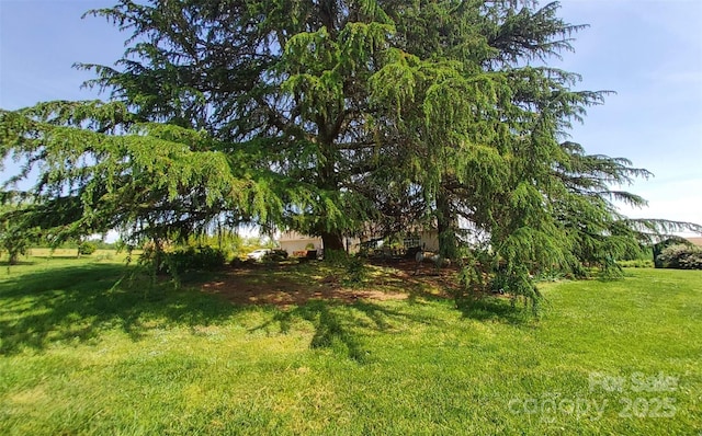 6454 Sain Milling Rd, Vale, NC 28168 - view of yard