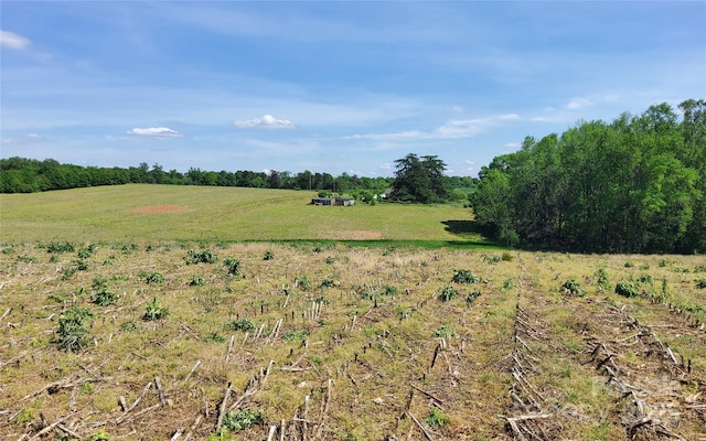 6454 Sain Milling Rd, Vale, NC 28168 - view of nature with a rural view