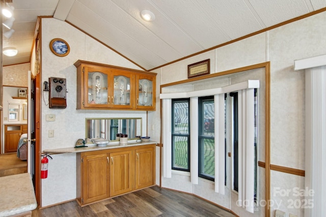 222 Pike Pt, Waynesville, NC 28785 - kitchen with light countertops, dark wood-style flooring, and vaulted ceiling