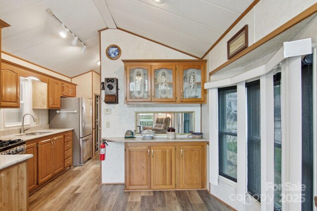 222 Pike Pt, Waynesville, NC 28785 - kitchen featuring appliances with stainless steel finishes, a sink, light wood finished floors, light countertops, and lofted ceiling
