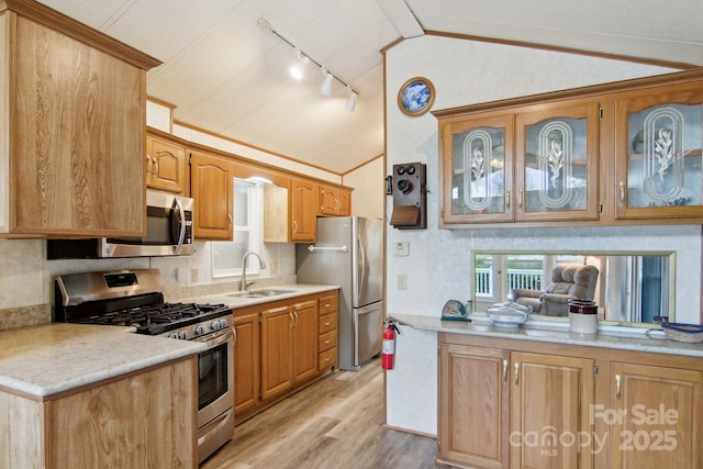 222 Pike Pt, Waynesville, NC 28785 - kitchen with appliances with stainless steel finishes, a sink, light wood-style floors, rail lighting, and lofted ceiling
