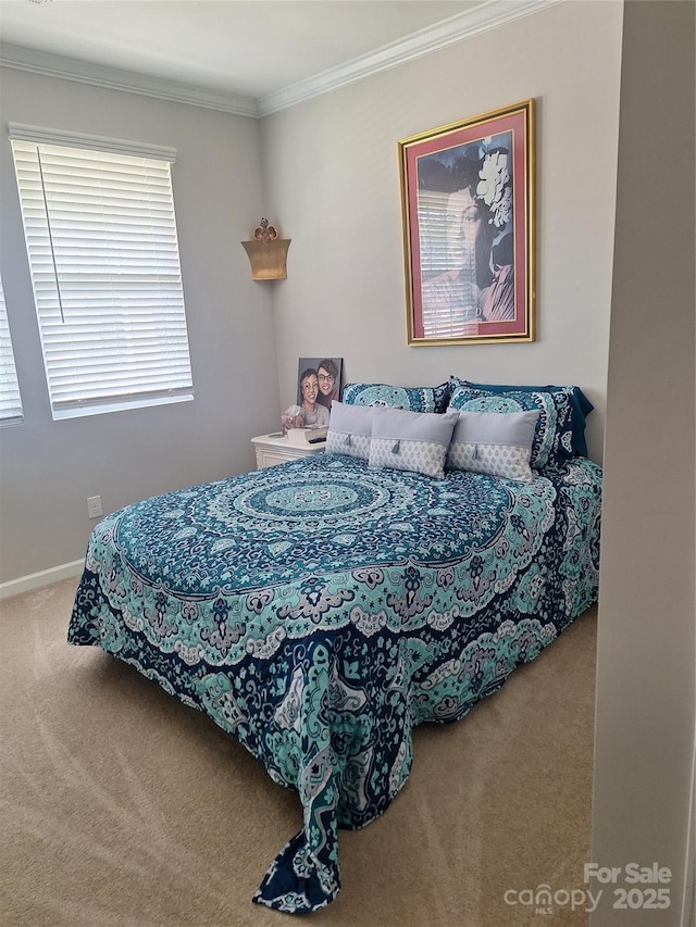 1202 Calder Dr, Indian Trail, NC 28079 - carpeted bedroom with baseboards and crown molding