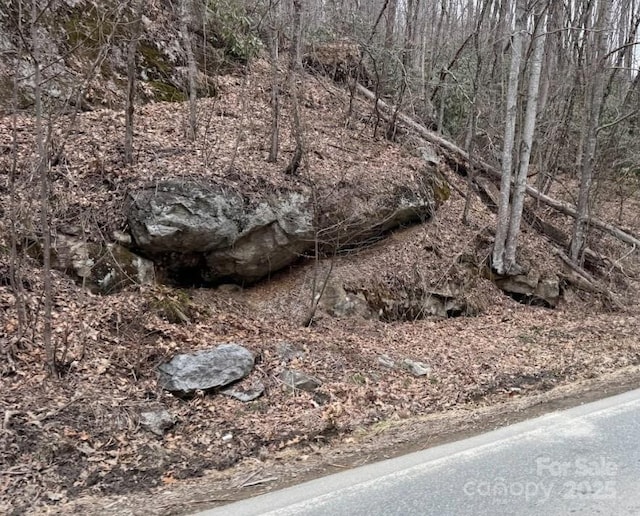 TBD Banner Elk Highway, Elk Park, NC 28622