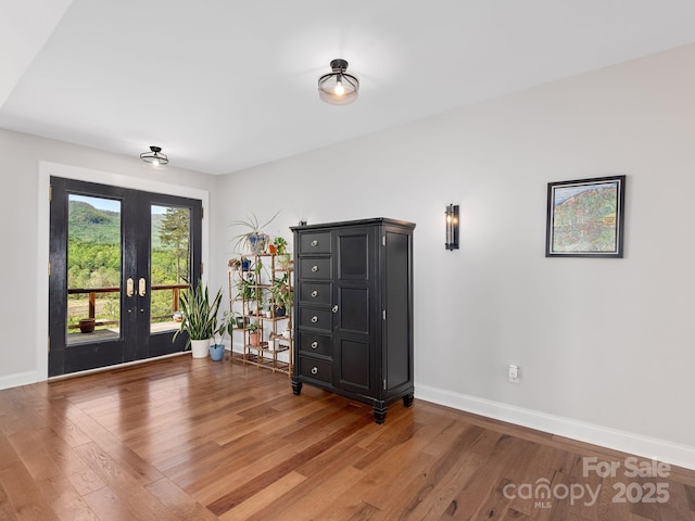 1810 Coopers Gap Rd, Mill Spring, NC 28756 - empty room with baseboards, french doors, and light wood-style floors
