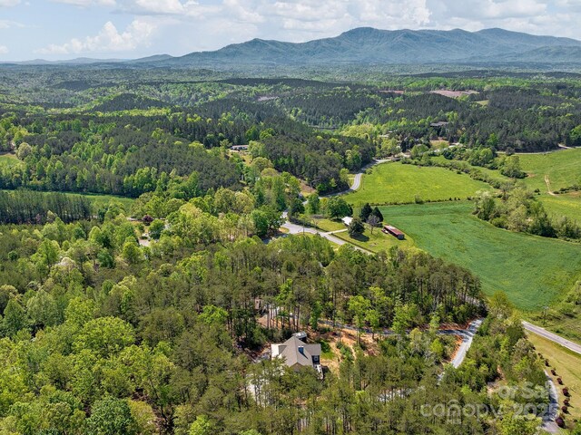 1810 Coopers Gap Rd, Mill Spring, NC 28756 - birds eye view of property featuring a view of trees and a mountain view