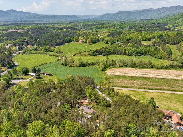 1810 Coopers Gap Rd, Mill Spring, NC 28756 - drone / aerial view featuring a mountain view and a forest view