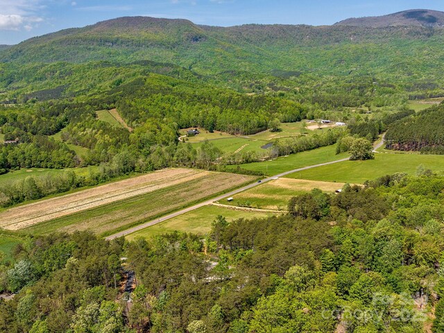 1810 Coopers Gap Rd, Mill Spring, NC 28756 - birds eye view of property with a mountain view and a forest view