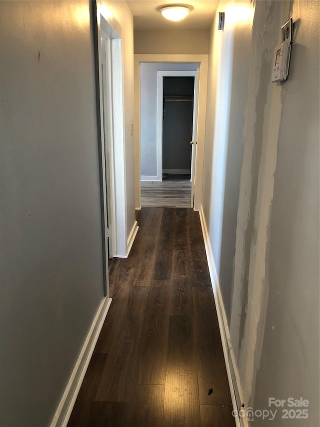 424 Skyland Ave, Charlotte, NC 28205 - corridor featuring dark wood-type flooring and baseboards