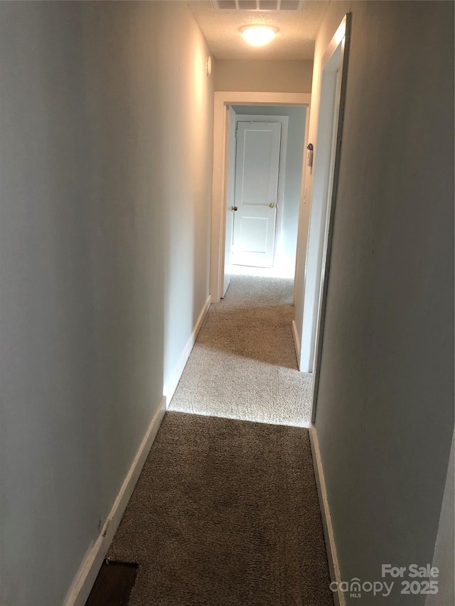 424 Skyland Ave, Charlotte, NC 28205 - hall with baseboards, carpet flooring, and visible vents