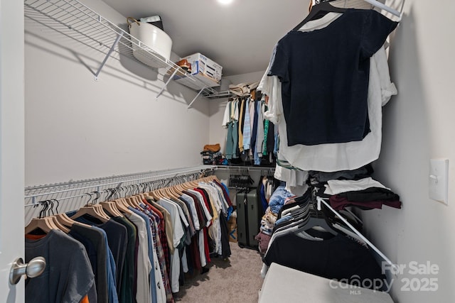 3828 Yorkshire Pl, Terrell, NC 28682 - walk in closet featuring light colored carpet
