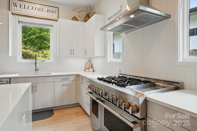 9305 Valley Rd, Charlotte, NC 28270 - kitchen with a sink, light countertops, range with two ovens, exhaust hood, and light wood finished floors