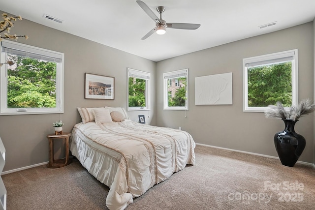 9305 Valley Rd, Charlotte, NC 28270 - carpeted bedroom featuring baseboards, visible vents, and multiple windows