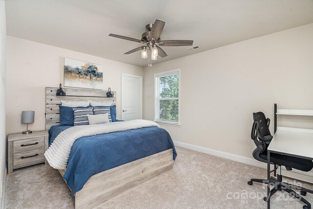 3925 Tokay Ln, Indian Land, SC 29707 - photo 22